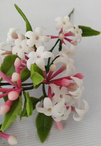 Sweet Pea Cutter